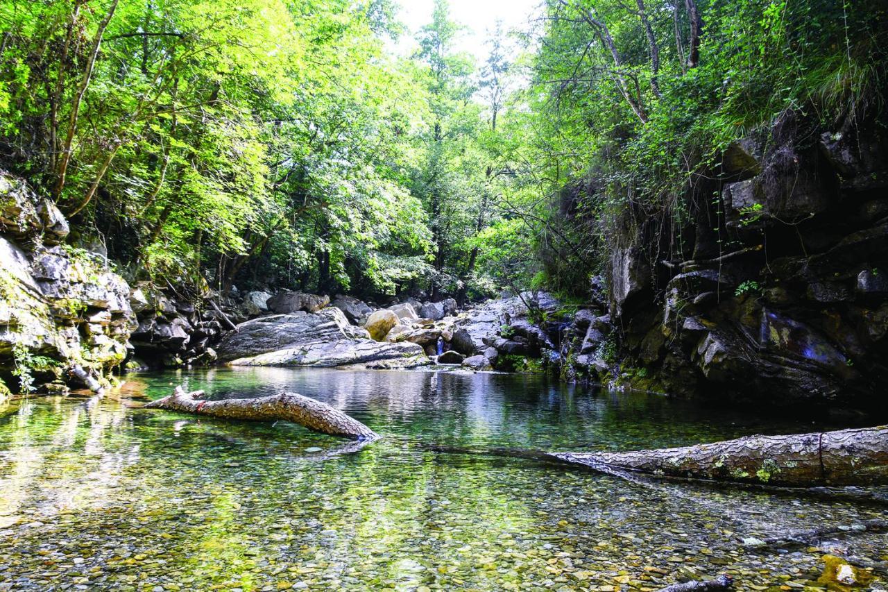 Agriturismo Nonnamelia Nasino Buitenkant foto
