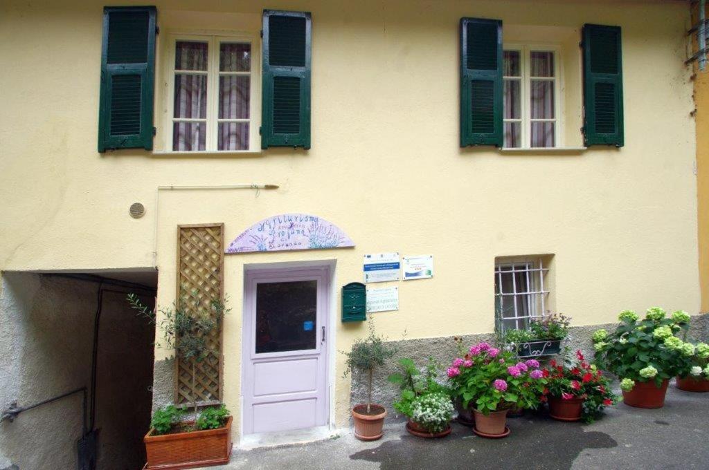 Agriturismo Nonnamelia Nasino Buitenkant foto