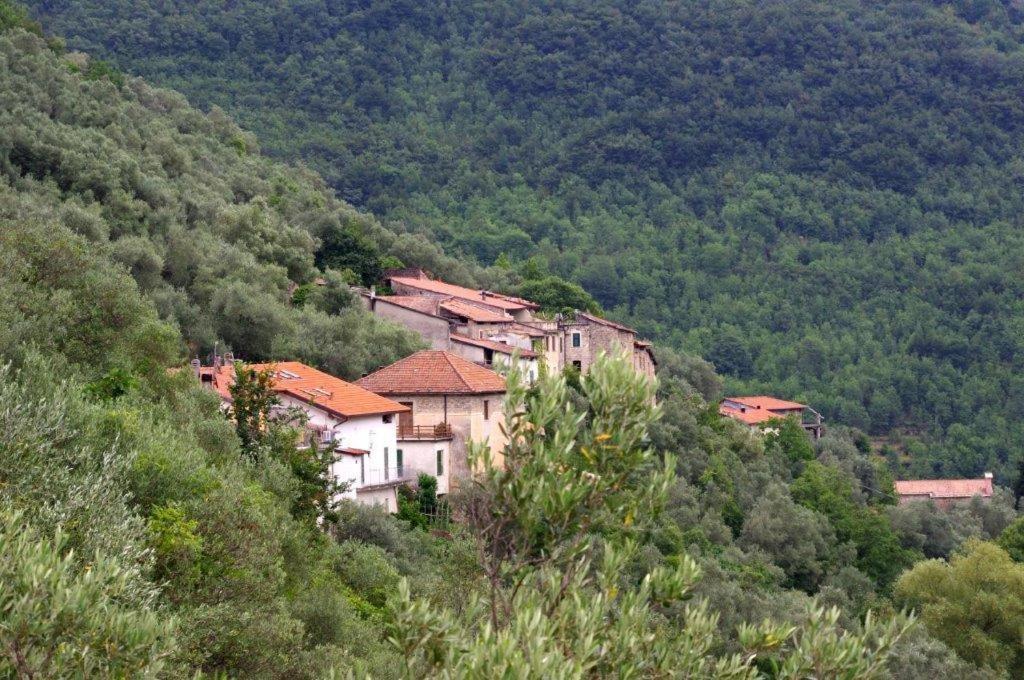 Agriturismo Nonnamelia Nasino Buitenkant foto